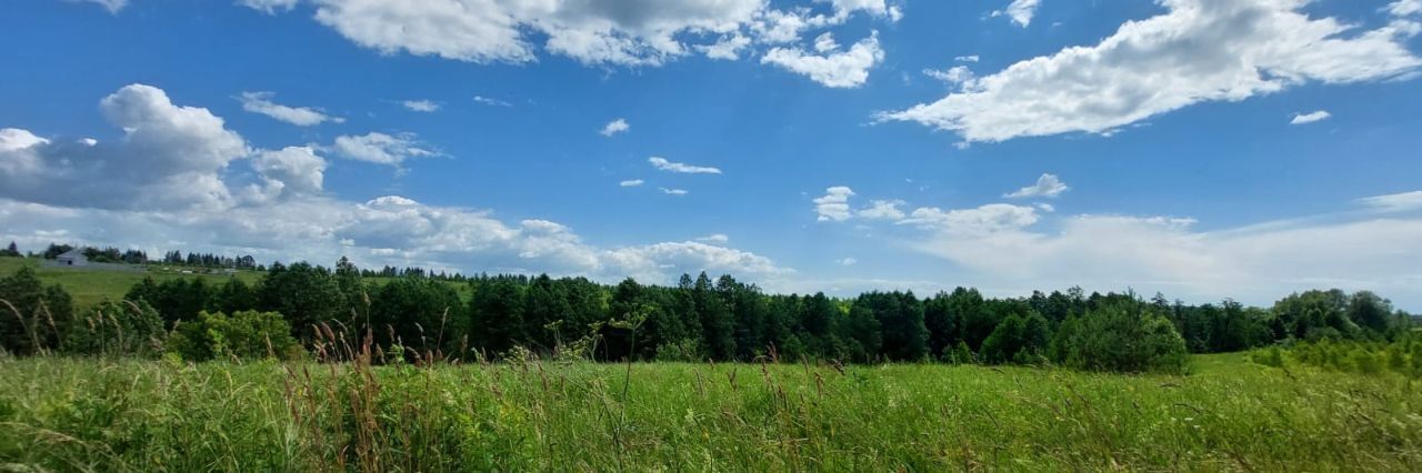 земля р-н Богородский д Килелей улица Карла Маркса, Буревестник фото 18