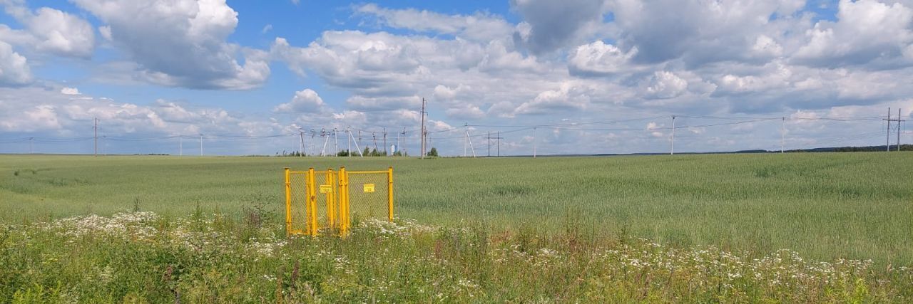 земля р-н Богородский д Килелей улица Карла Маркса, Буревестник фото 19