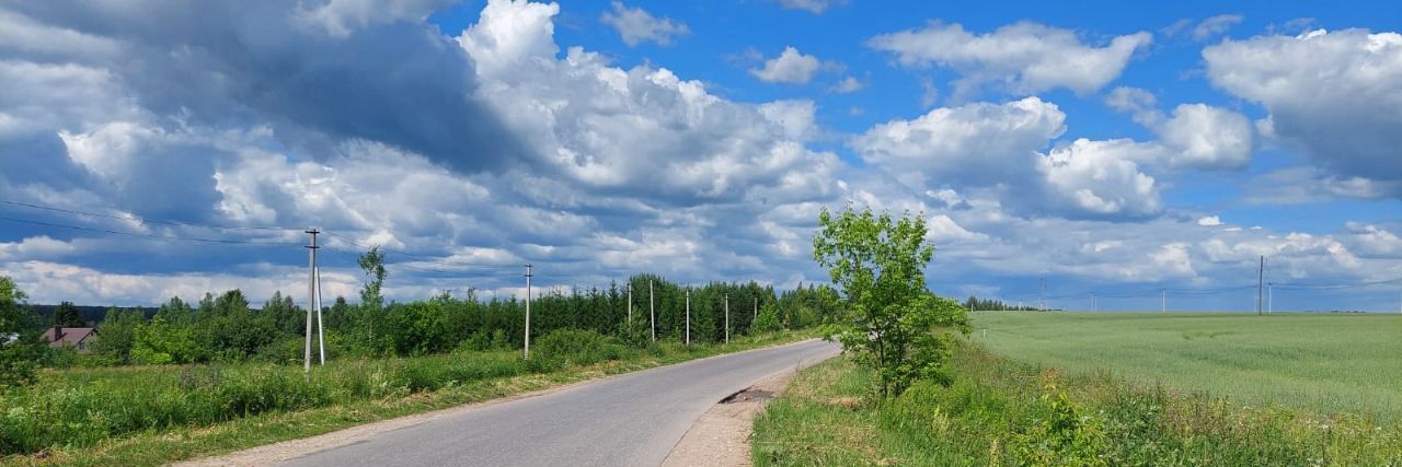 земля р-н Богородский д Килелей улица Карла Маркса, Буревестник фото 20