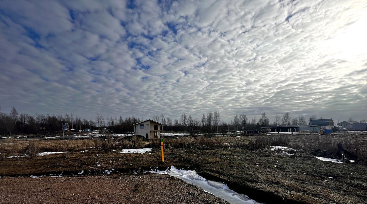 земля р-н Всеволожский д Разметелево Колтушское городское поселение, Улица Дыбенко фото 4