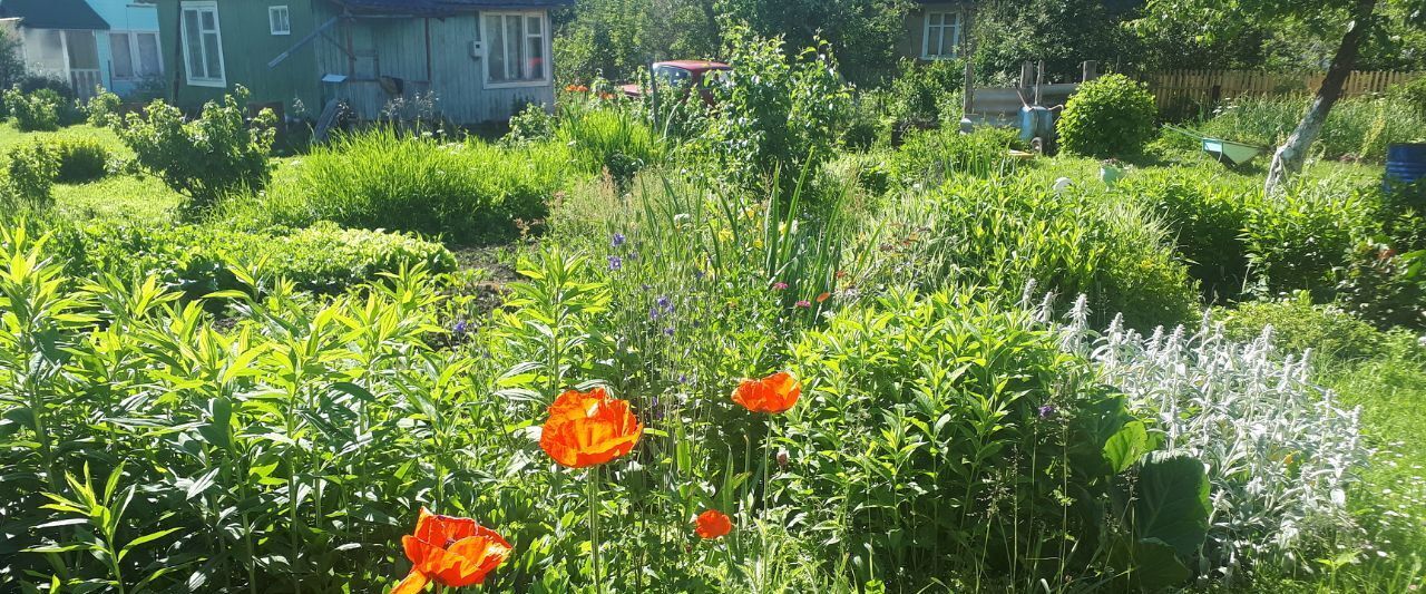 дом р-н Оленинский д Солнечное Вышневолоцкий муниципальный округ фото 6