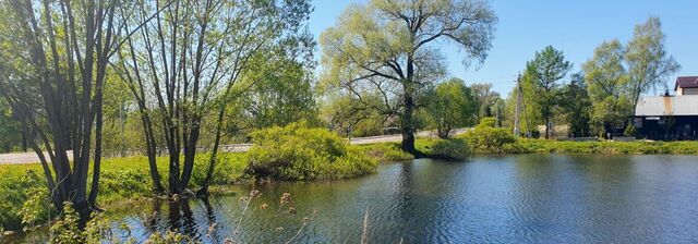 городской округ Истра, Курганская улица фото