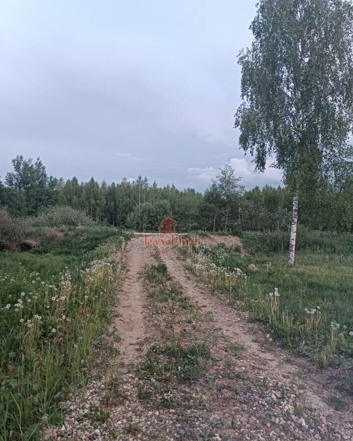 земля р-н Александровский д Арсаки муниципальное образование Следневское, Струнино фото 9