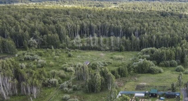 снт Моторостроитель ул Виноградная фото