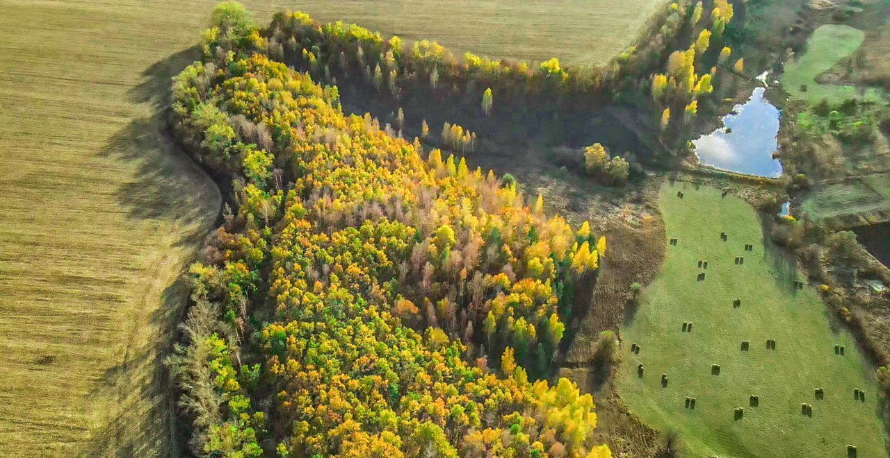 земля р-н Белгородский с Черемошное ул Центральная Октябрьский фото 1