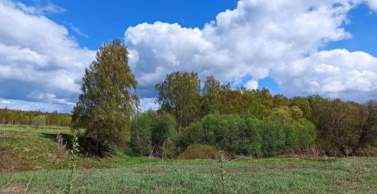 земля городской округ Пушкинский п Ашукино 38 км, коттеджный пос. Калистово, 121, Ярославское шоссе фото 4