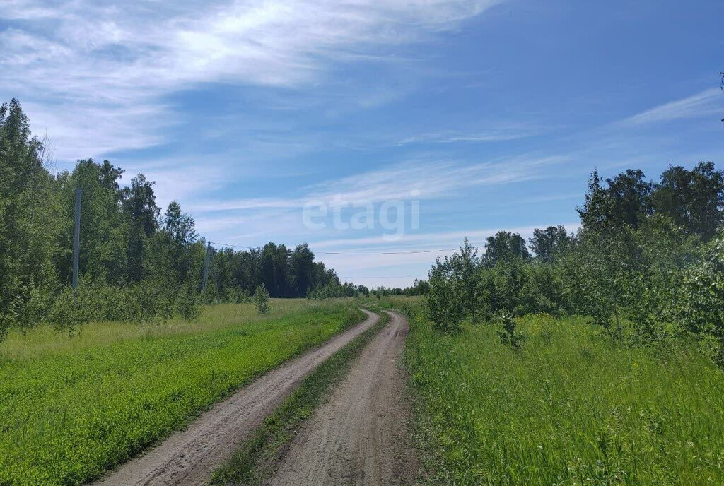 земля р-н Сосновский д Казанцево посёлок Новоказанцево Рощинское сельское поселение фото 6