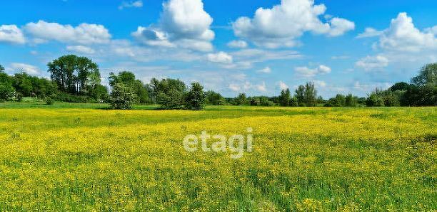 земля г Краснокамск п Ласьва фото 1