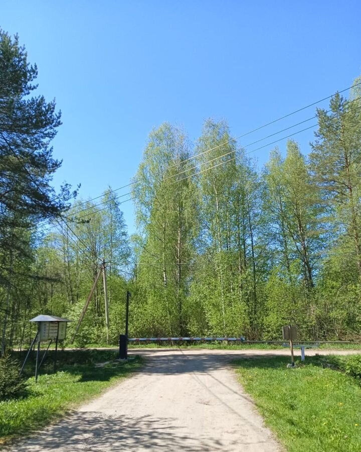 земля р-н Кировский д Войтолово ул Лесная Мгинское городское поселение, Павлово фото 2