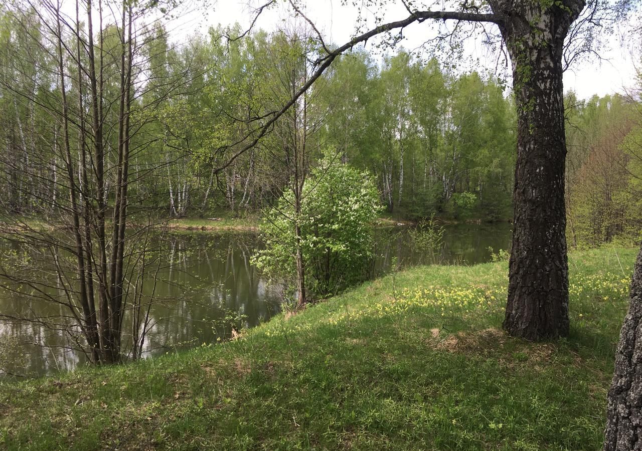 земля р-н Бабынинский д Альшаны сельское поселение село Бабынино, Бабынино фото 13