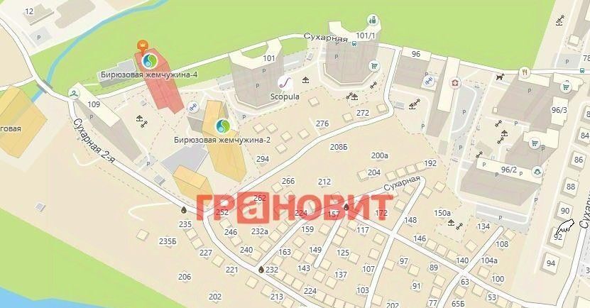 квартира г Новосибирск метро Площадь Гарина-Михайловского ул Сухарная 105/1 фото 29