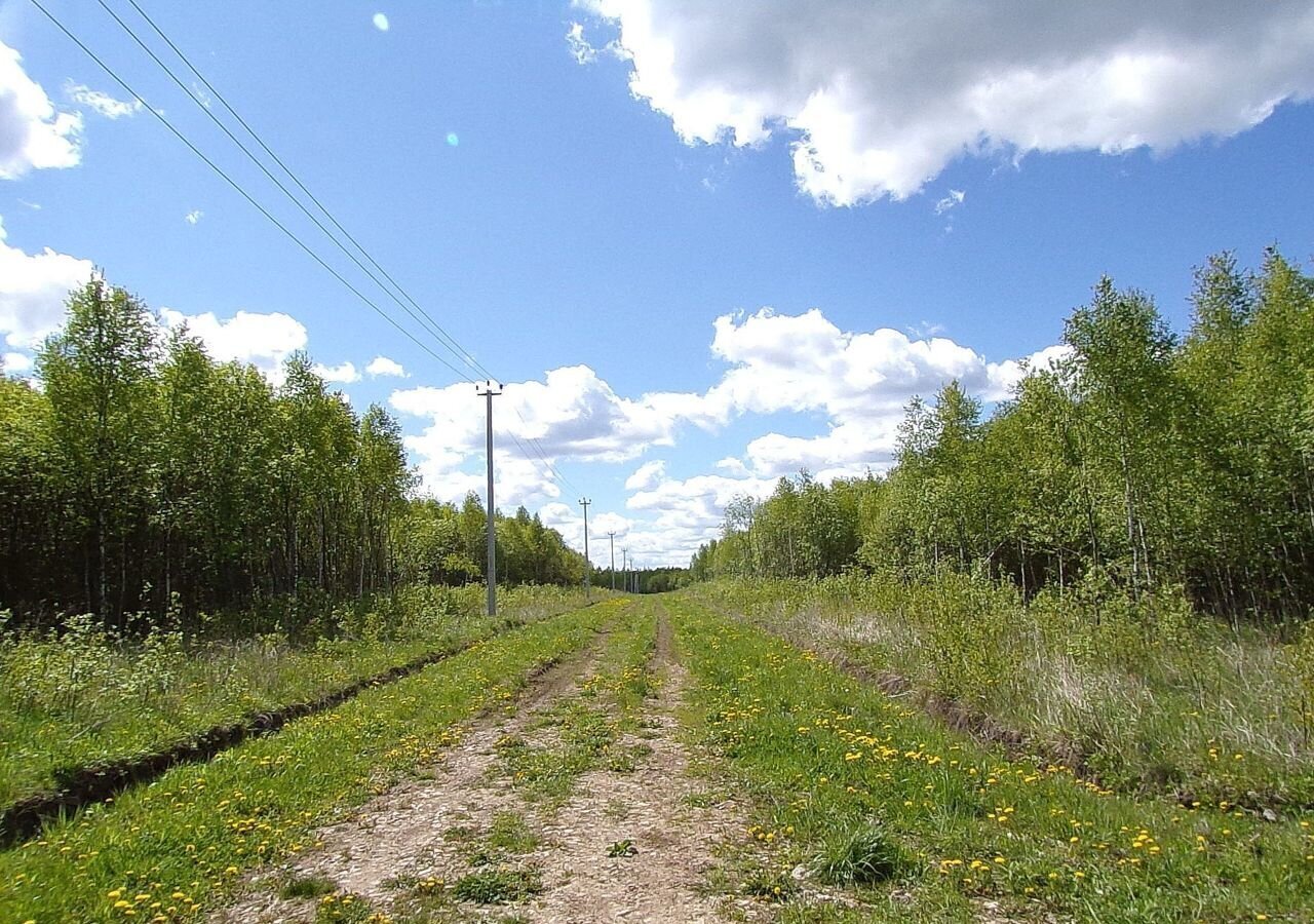 земля городской округ Серпухов 75 км, местечко Карпова Поляна, Симферопольское шоссе фото 3