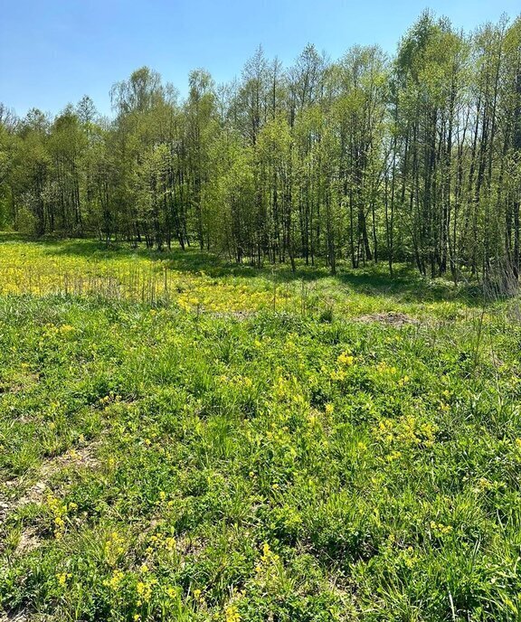 земля городской округ Серпухов д Акулово фото 26