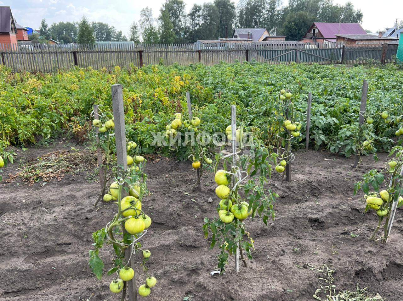 дом р-н Ордынский рп Ордынское ул Граничная фото 21