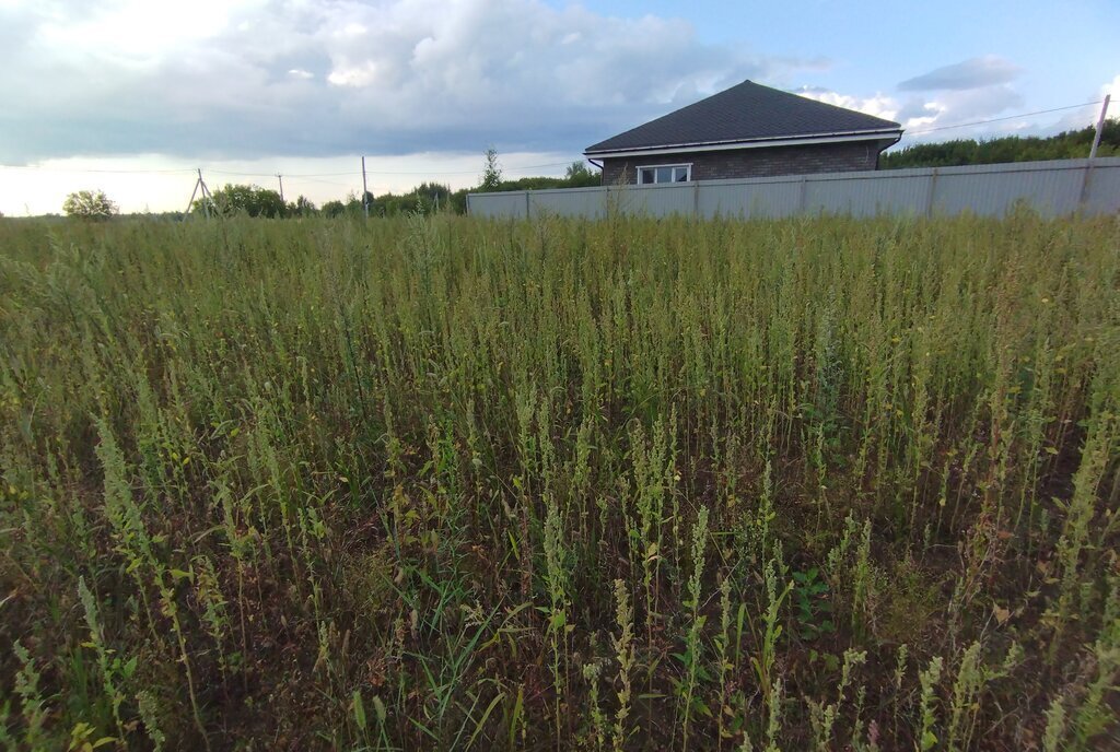 земля городской округ Богородский с Кудиново ул Никольская Железнодорожная фото 3