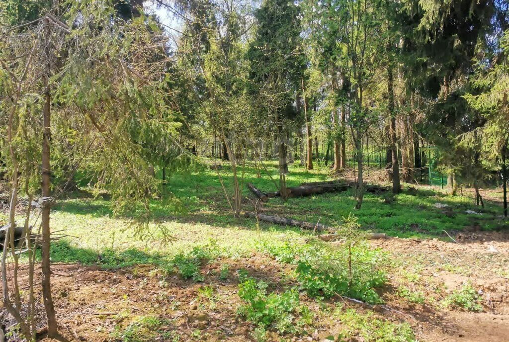 земля городской округ Раменский д Сафоново Раменское фото 3