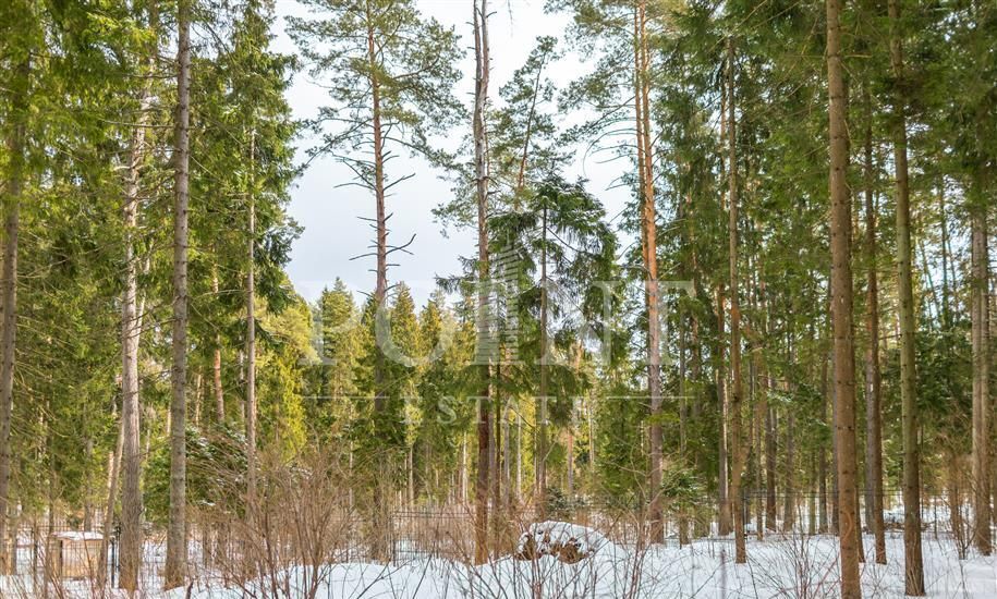 земля городской округ Истра д Чесноково 20 км, коттеджный пос. Ренессанс Парк, Красногорск, Минское шоссе фото 4