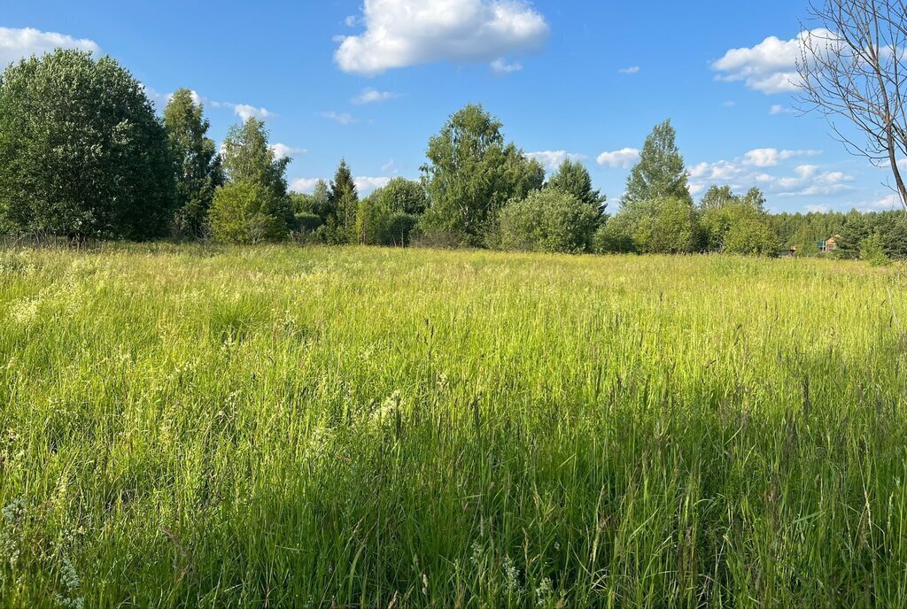 земля г Переславль-Залесский ул Полевая деревня Ширяйка фото 1