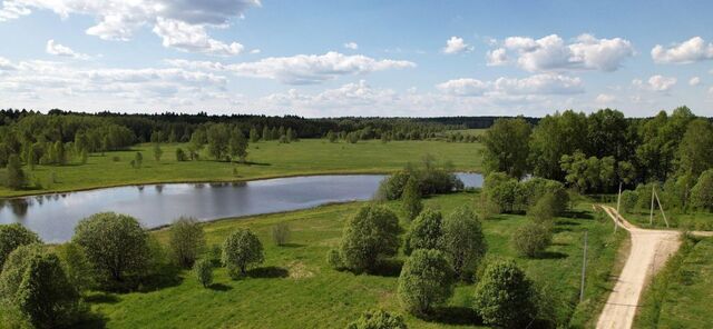 тер Раточкины Пруды Наро-Фоминский городской округ фото