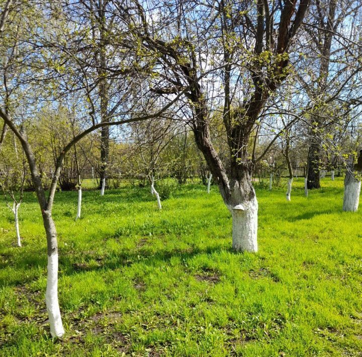 дом р-н Староюрьевский с Подгорное сельсовет, Подгорненский фото 5