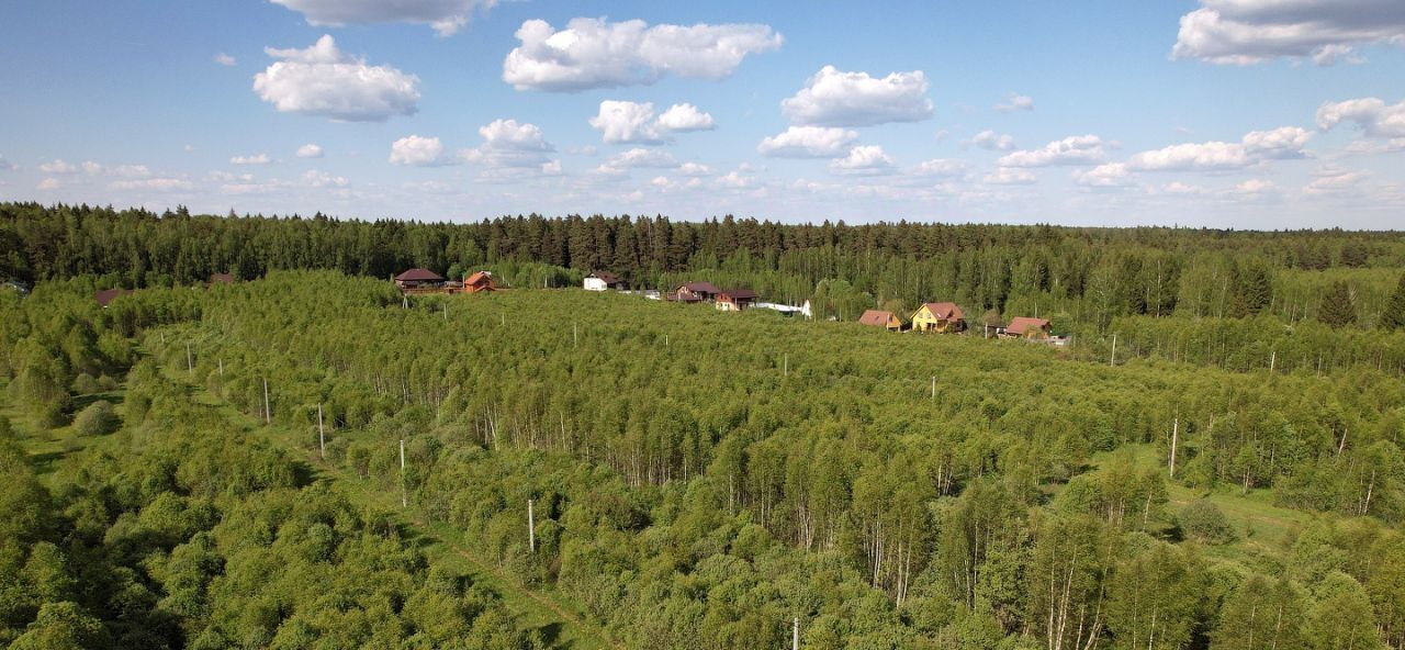 земля городской округ Можайский Лесные Просторы кп фото 11