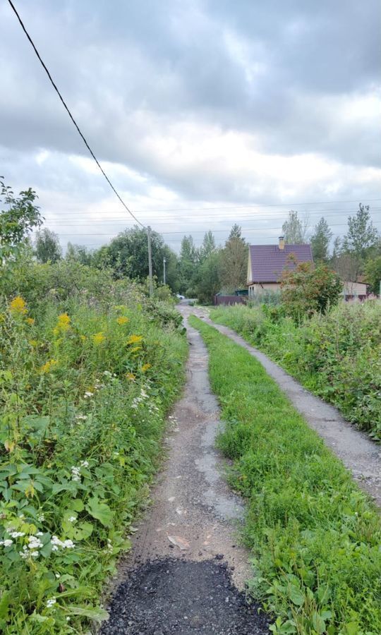 земля р-н Новгородский с/п Ермолинское Ермолинское сельское поселение, садоводческий массив Веряжский-2, Великий Новгород фото 3