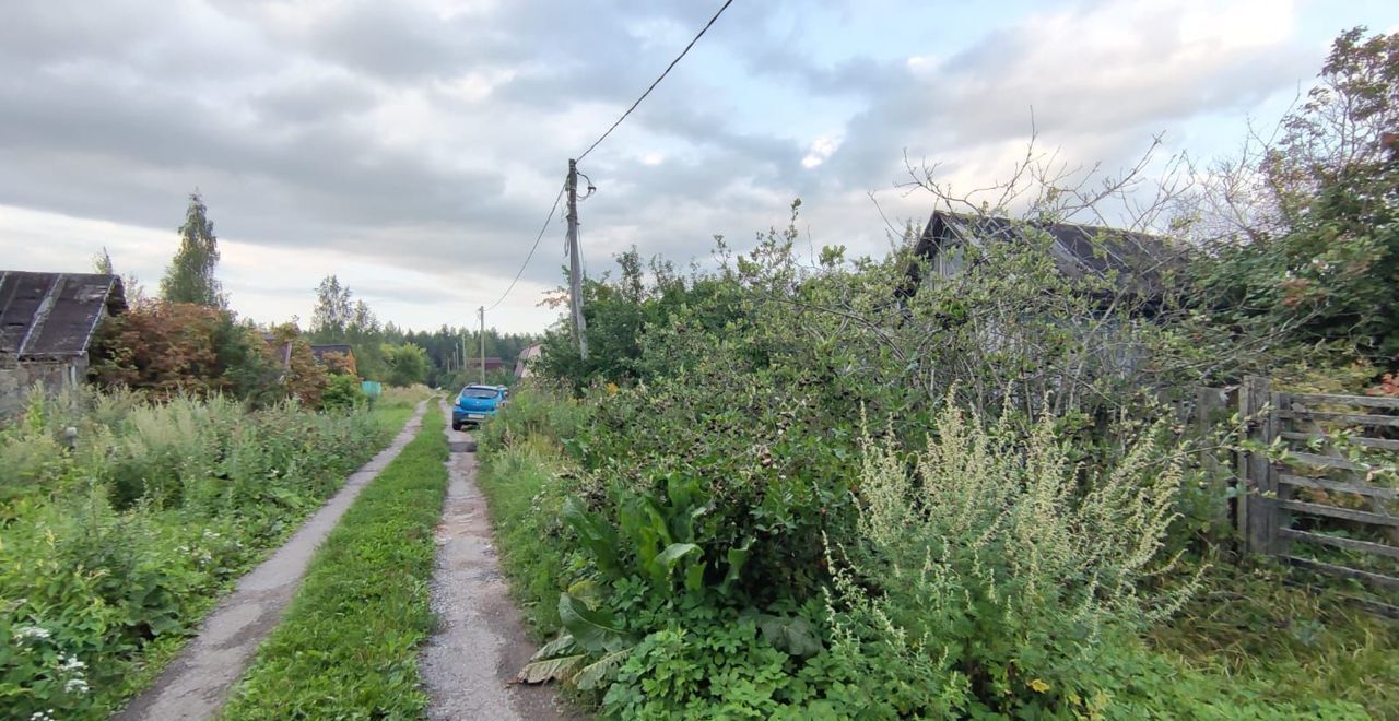 земля р-н Новгородский с/п Ермолинское Ермолинское сельское поселение, садоводческий массив Веряжский-2, Великий Новгород фото 14