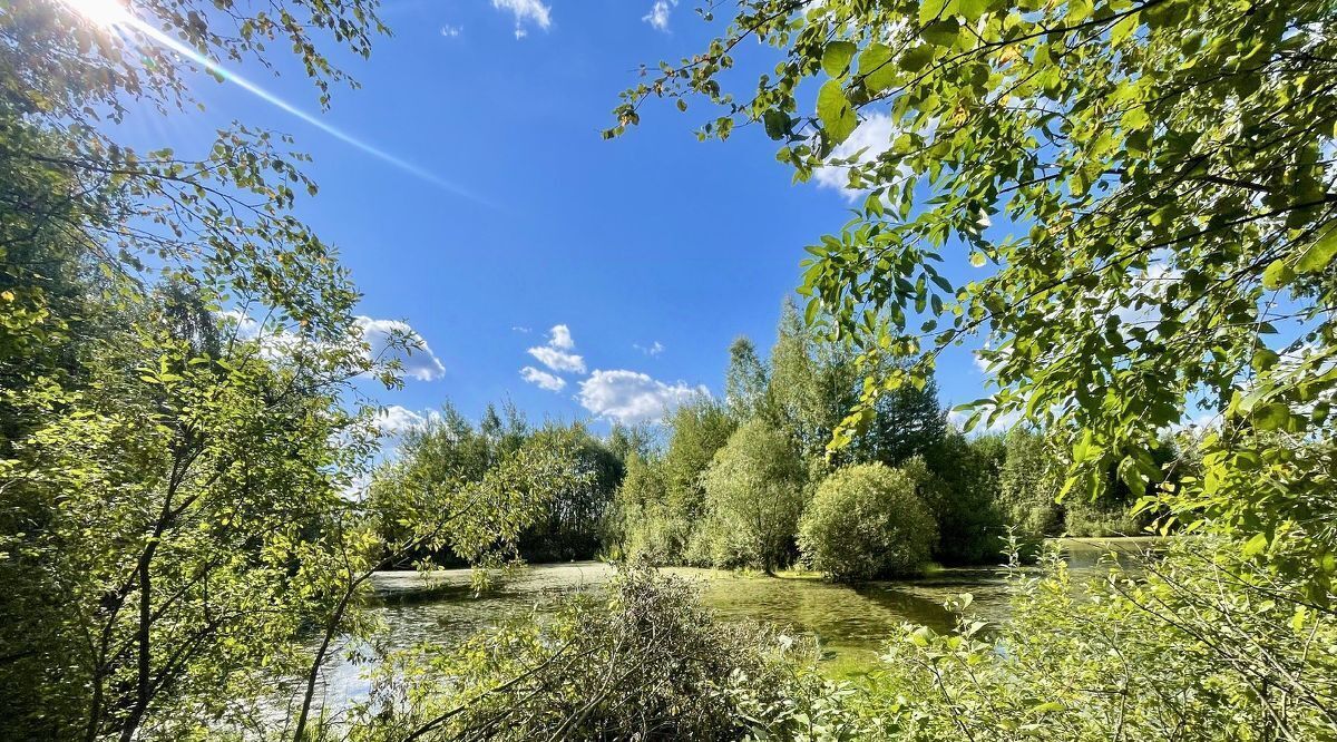 земля городской округ Раменский Фенино Лесное кп фото 16