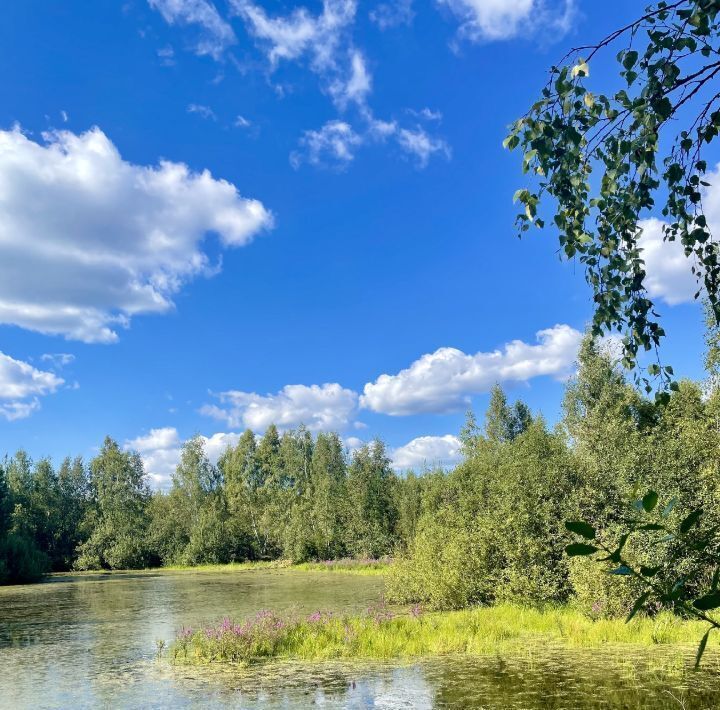 земля городской округ Раменский Фенино Лесное кп фото 22