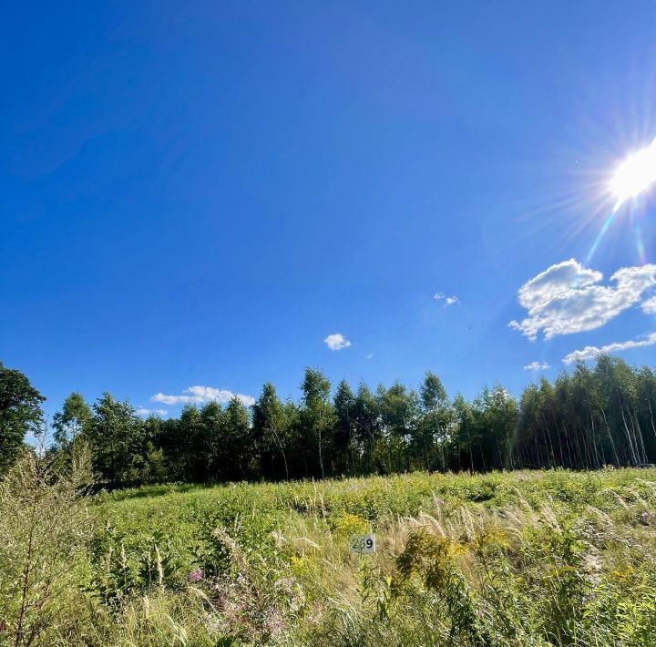 земля городской округ Раменский Фенино Лесное кп фото 35