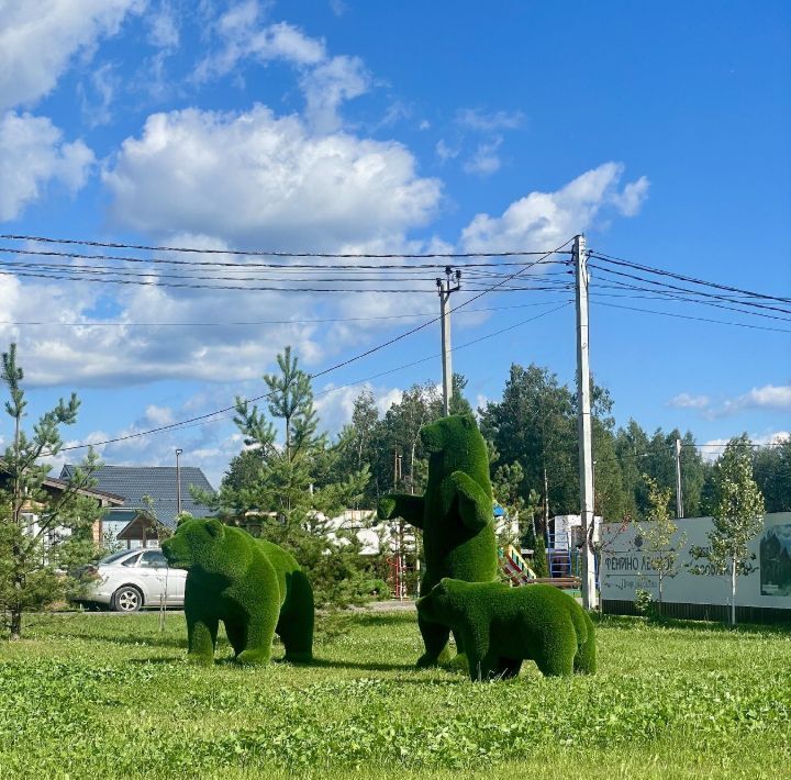 земля городской округ Раменский Фенино Лесное кп фото 14