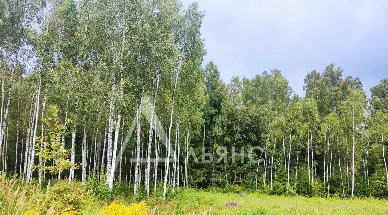 земля р-н Перемышльский д Большие Козлы с пос, Изумрудный кп фото 8