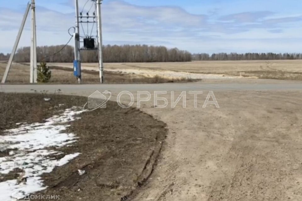 земля р-н Тюменский ДПК Новокаменский, Васнецова фото 3