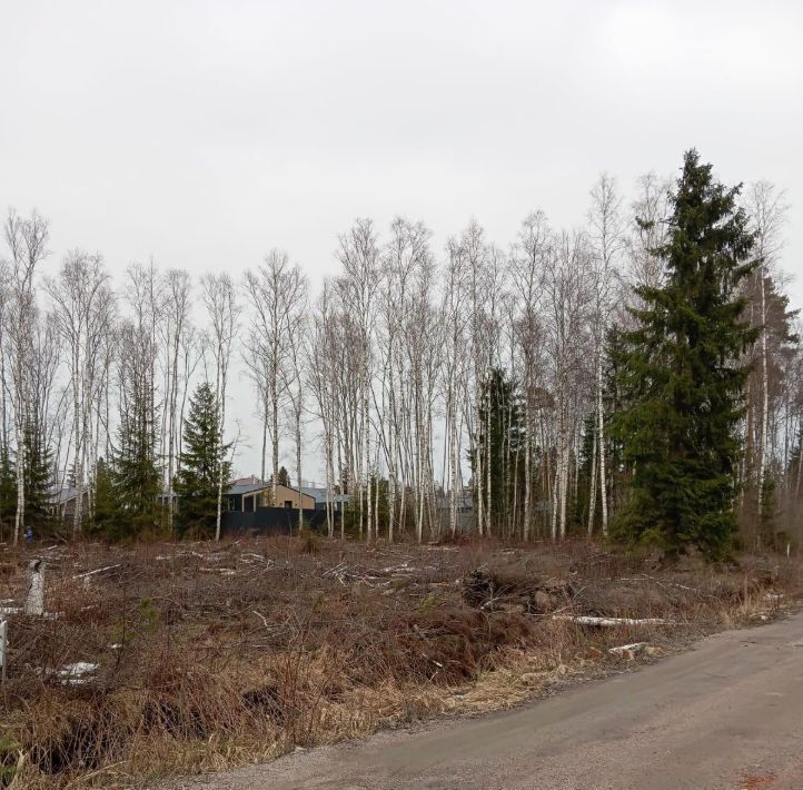 земля р-н Тихвинский снт Заречное Сертоловское городское поселение, ул. Липецкая, Всеволожский район фото 7