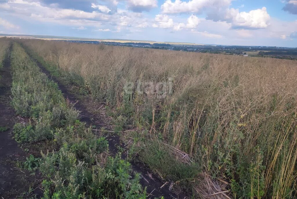 земля г Саранск с Куликовка фото 2