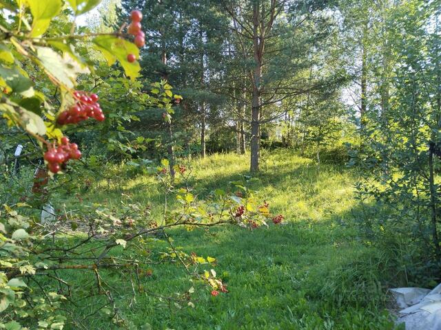 Мгинское городское поселение, 3-я аллея, Мга фото