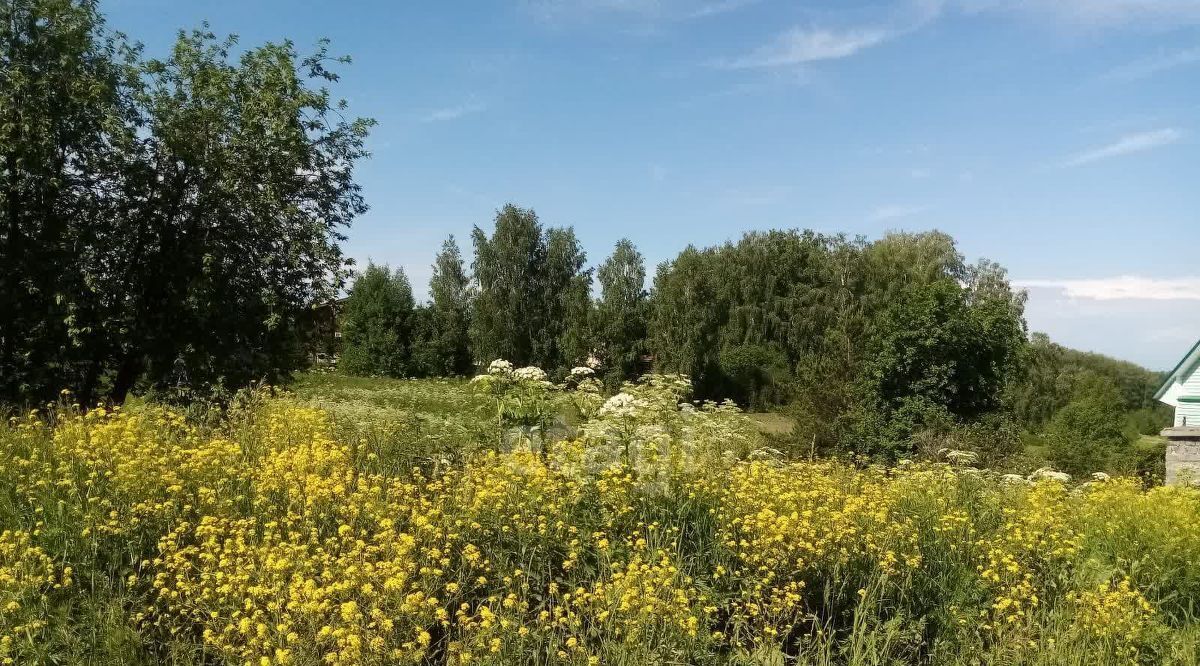 земля р-н Мошковский с Барлак ул Школьная 19 фото 1