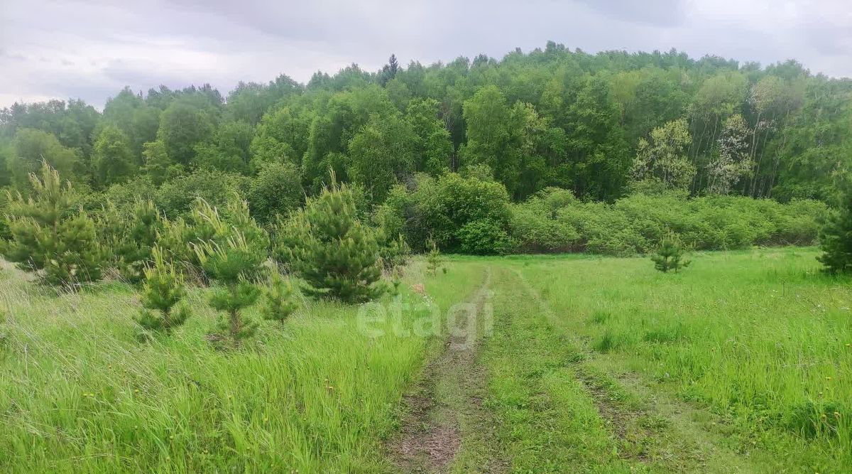 земля р-н Березовский д Лукино сельсовет, Зыковский фото 4