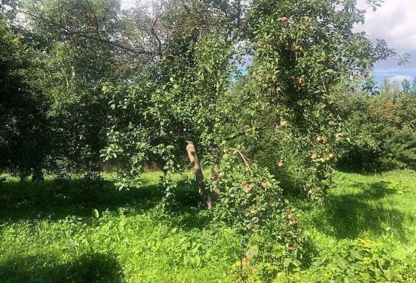 дом р-н Старожиловский д Хрущево-Тырново Старожиловское городское поселение, 12, Старожилово фото 18