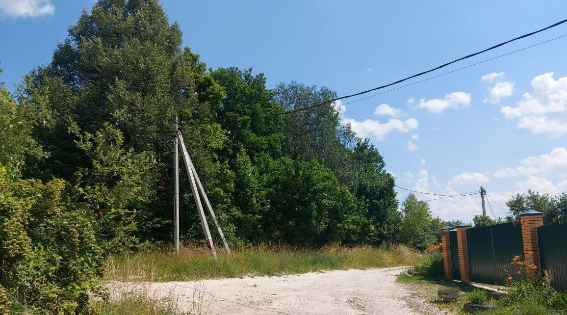 земля городской округ Серпухов с Турово фото 2