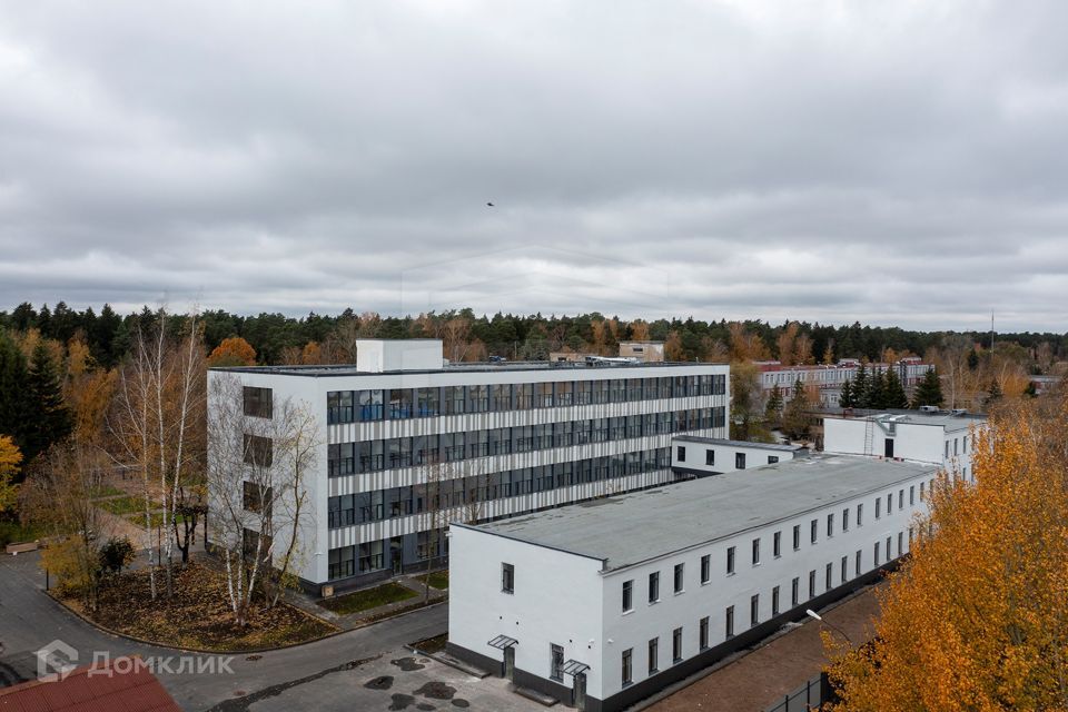 квартира городской округ Раменский рп Ильинский ул Пролетарская 49/1 фото 3