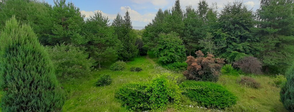 дом р-н Новгородский д Береговые Морины ул Николаевская Ракомское сельское поселение фото 1