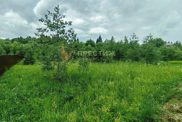 Сергиево-Посадский городской округ фото