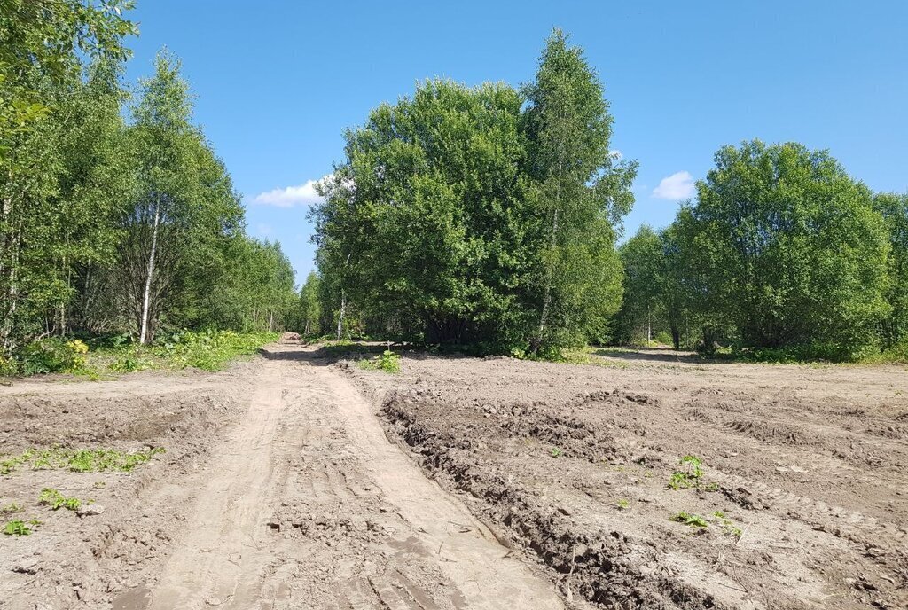 земля городской округ Рузский п Городище фото 28