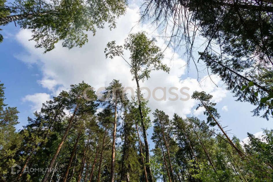 земля р-н Тюменский д Зубарева ул Центральная фото 1