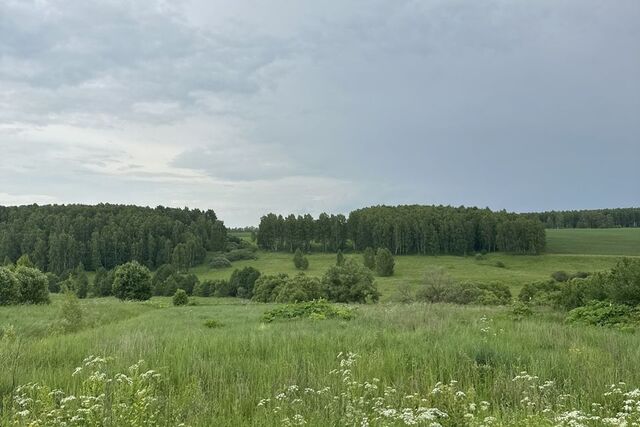 деревня Усово фото