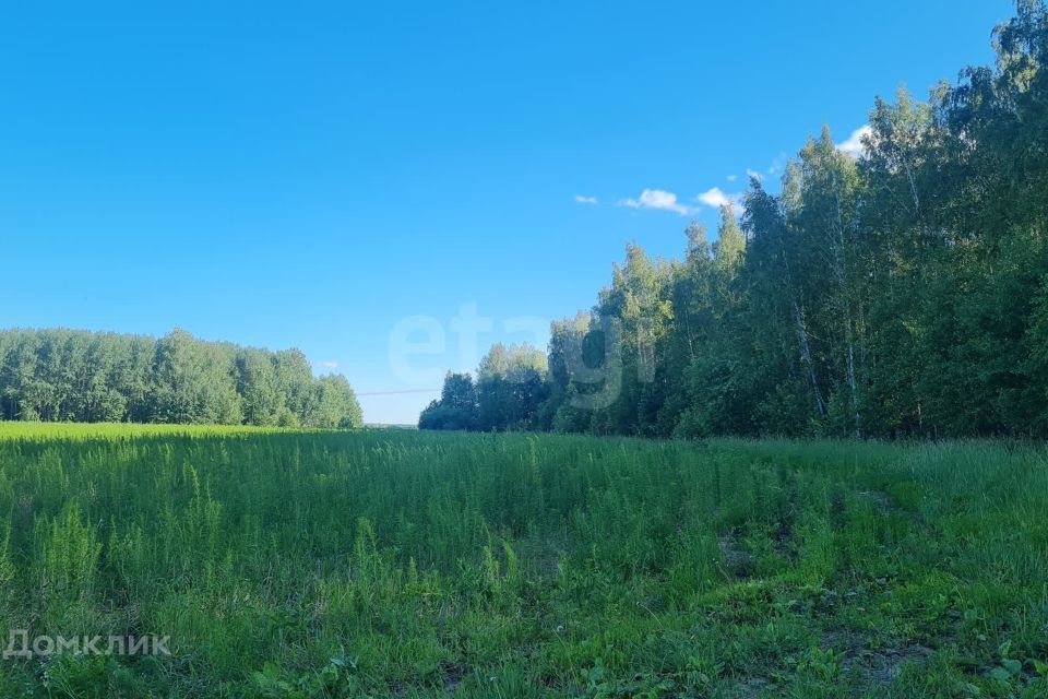 земля р-н Тюменский село Каменка фото 1