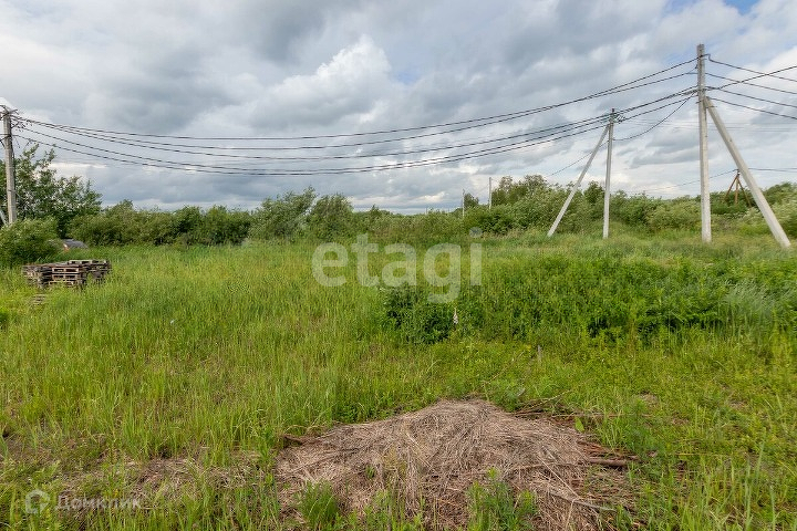 земля г Тюмень городской округ Тюмень, товарищество собственников недвижимости Большое Царёво-1 фото 3