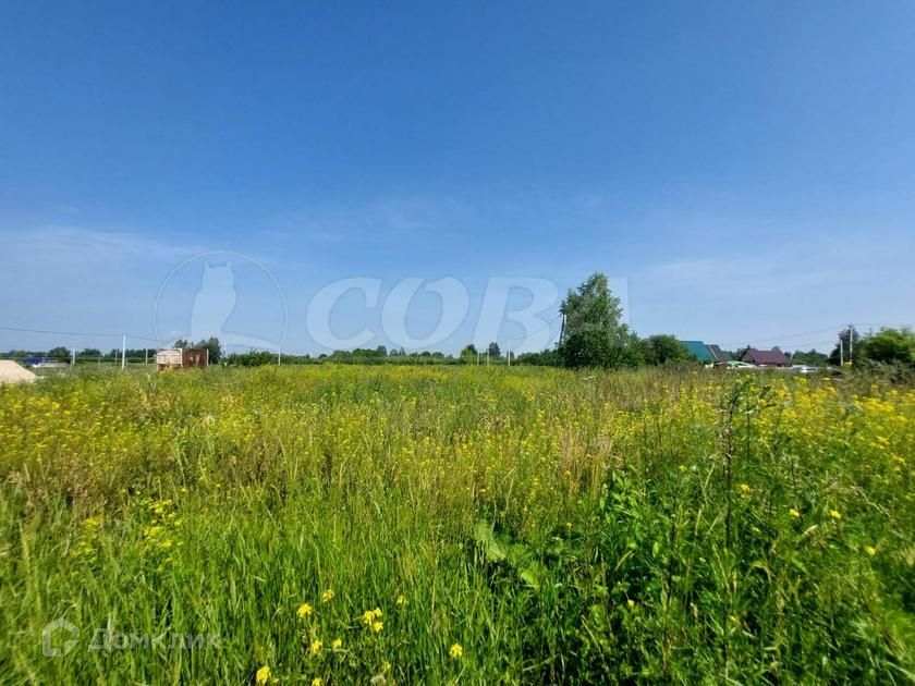 земля г Тюмень городской округ Тюмень, садовое товарищество Поле Чудес-2 фото 2