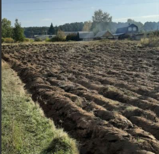 земля р-н Чердаклинский село Красный Яр фото 1